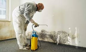 Best Industrial Mold Remediation in Roswell, GA