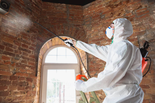 Professional Mold Removal in Roswell, GA