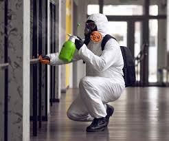 Why You Should Choose Our Mold Remediation Services in Roswell, GA